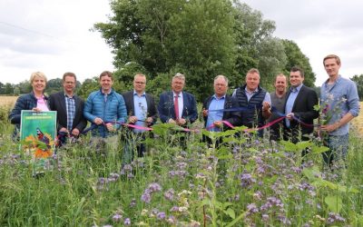 Das Blühende Band: Im Münsterland fördern Blühstreifen Insekten und Co.