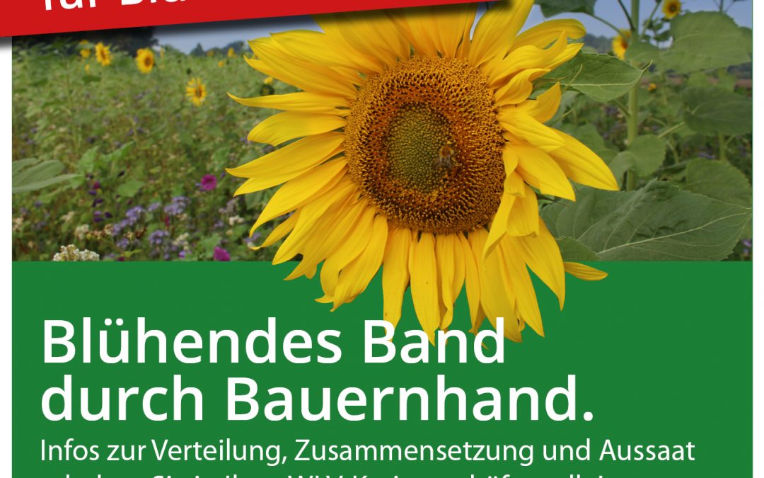 Blühendes Band – Kostenloses Saatgut