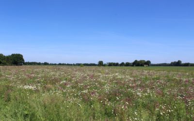 PIK auf rund 40 ha für die Stadt Bochum