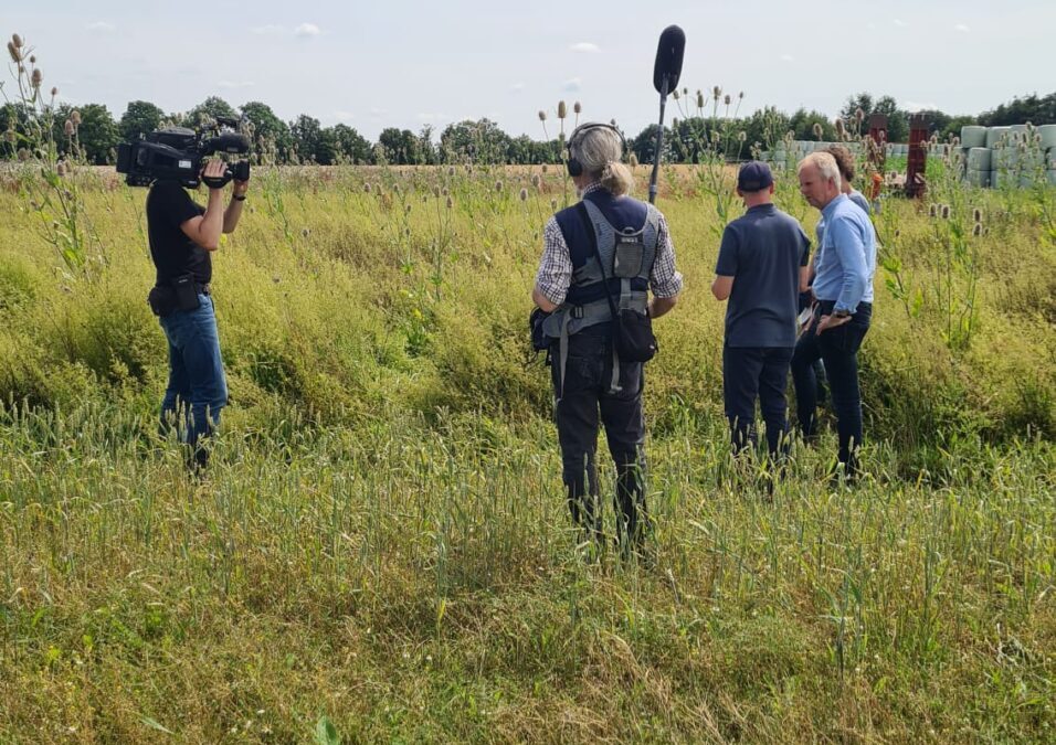 WDR berichtet über Feldexkursion